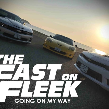 THE FAST ON FLEEK カッティングステッカー（SMALL）