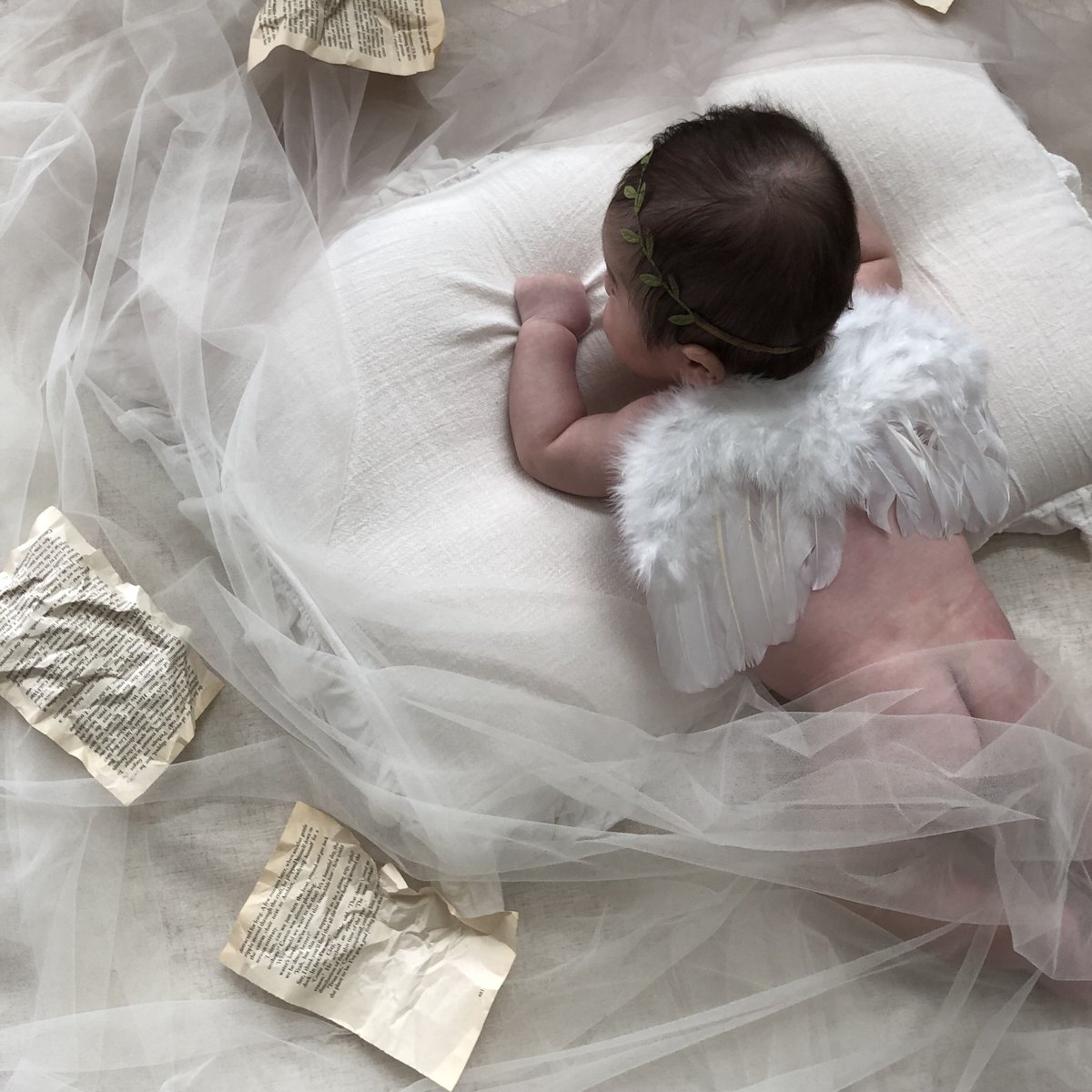 CFIERCE Angel Wing チャップホワイト2024新品