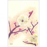 手すき紙の絵葉書（手描き絵画・イラストをプリント）No60073