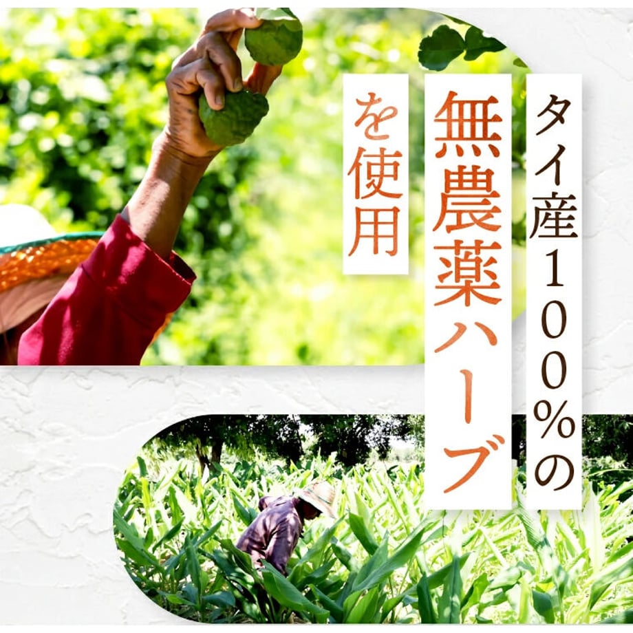 5dd97747a551d51e3e99ccab