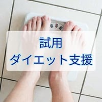 【試用】　プログラムヒーリング　＜ダイエット支援＞