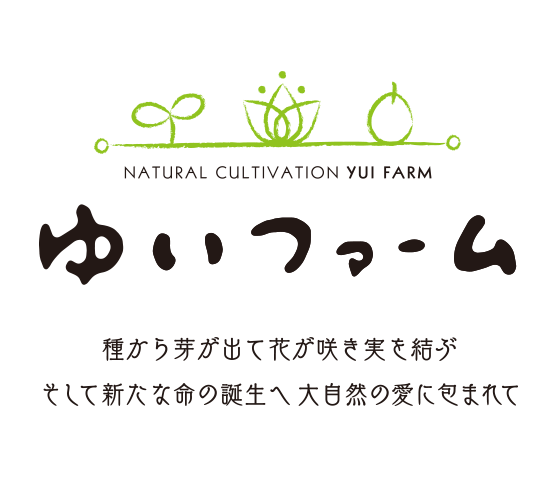 自然栽培 生わらび1kg販売開始♪ | ゆいファーム