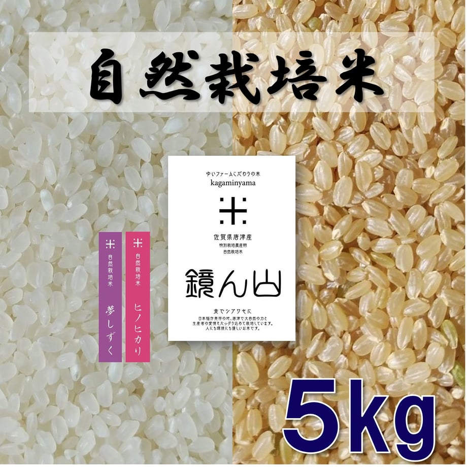 5dc34edfb9de6538a7e82ae2