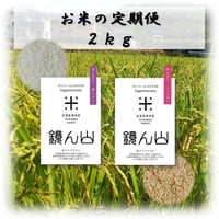 【定期便】自然栽培米 ２ｋｇ