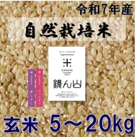 【定期便】自然栽培米  玄米 5kg