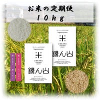 【定期便】自然栽培米 １０ｋｇ（5kg×2袋）