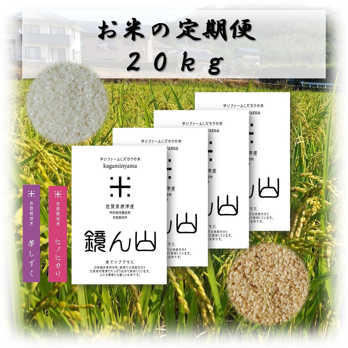 R5年 自然栽培米ミズホチカラ玄米20kg（5kg×4） 【公式通販】