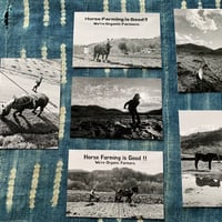 「Horse Farming Is Good!」オリジナルポストカード6枚