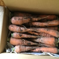 葉付き人参(小さめサイズ)1〜1.2kg | horsemade landscape