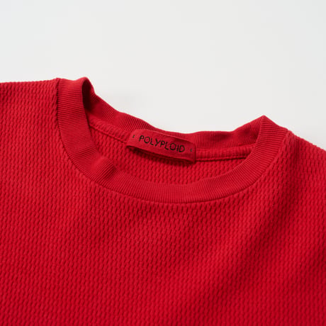 POLYPLOID (ポリプロイド) / Oversize Longsleeve C