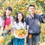 organic farm なないろ工房