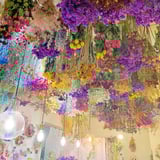 LUCE BOTANIX