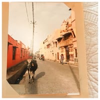 ヴリンダーヴァンphoto139
