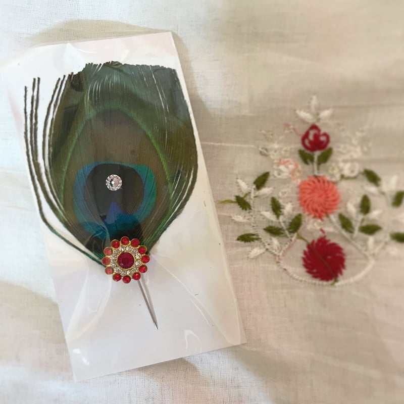 ピーコックフェザー ピーコックフェザー錦 アエオニウム 多肉植物