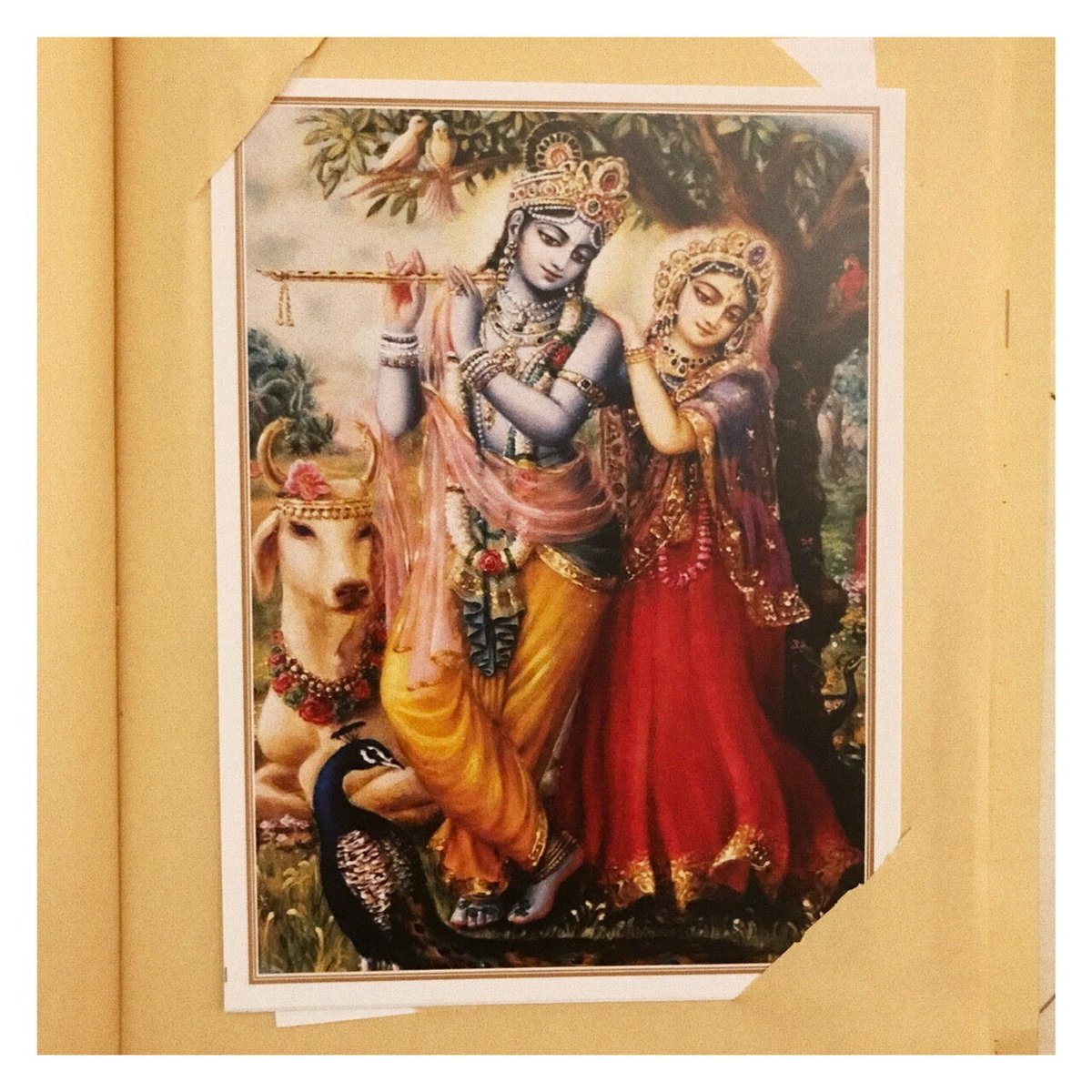 ラーダークリシュナアート | MANGALA ARATI