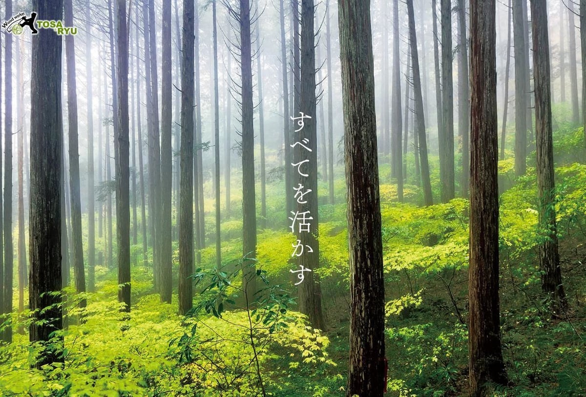 新品 土佐龍　四万十ひのき極め“一枚板”まな板 400×240×20mm 土佐龍】四万十ひのき極め