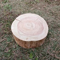 薪割り台 切り株 ひのき 丸太 約30x27cm 厚さ約8～10cm | wildoutdoor