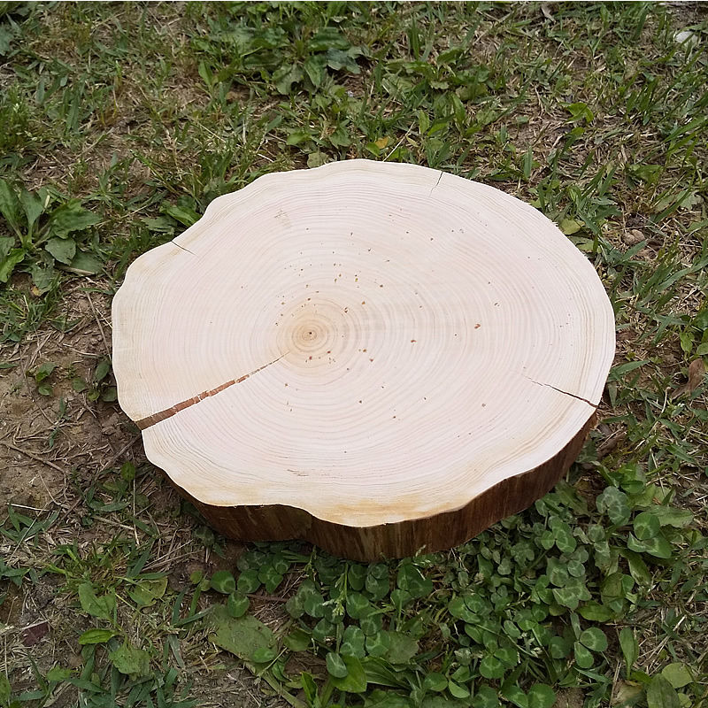 薪割り台 切り株 ひのき 丸太 約26x22cm 厚さ約5cm | wildoutdoor