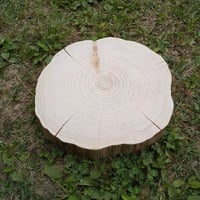 天然木 切り株 机 横73.5×縦60.5×高さ42cm/花台 薪割り台 盆栽台 薪割り台 切り株 ひのき 丸太 約30x27cm 厚さ約8～10cm