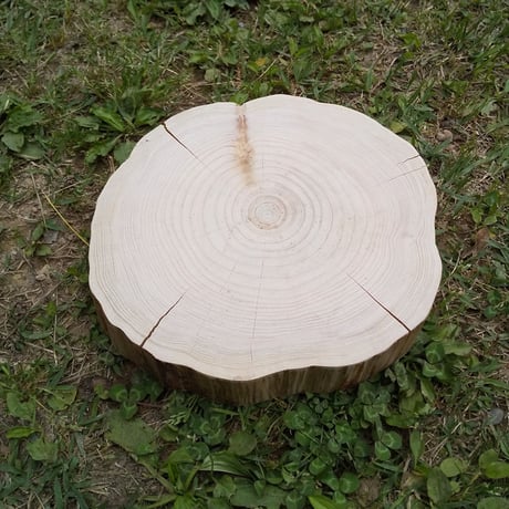 薪割り台 切り株 ひのき 丸太 約26x25cm 厚さ約5cm
