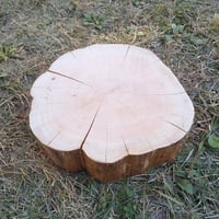薪割り台 切り株 ひのき 丸太 約31x30cm 厚さ約10cm