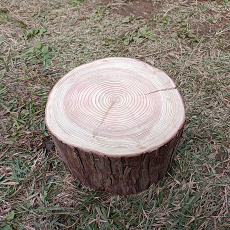薪割り台 切り株 ひのき 丸太 約21x21cm 厚さ約13cm