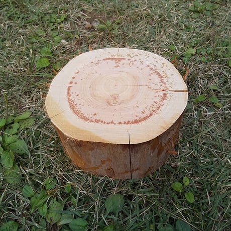 薪割り台 切り株 ひのき 丸太 約23x23cm 厚さ約13cm