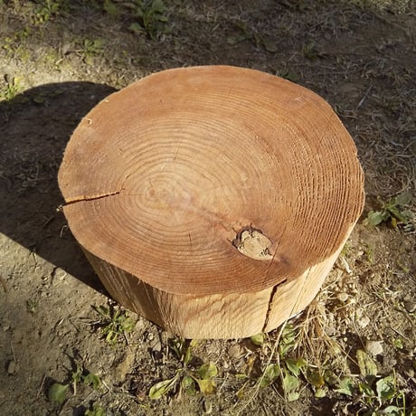刳り抜き丸太 薪割り台 切り株 杉 約30x30cm 厚さ約12cm