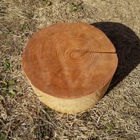 刳り抜き丸太 薪割り台 切り株 杉 約28x28cm 厚さ約12cm