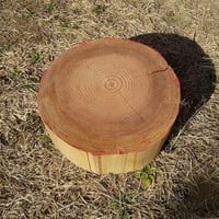 刳り抜き丸太 薪割り台 切り株 杉 約30x30cm 厚さ約12cm