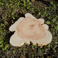 薪割り台 切り株 ひのき 丸太 約35x34cm 厚さ約4cm