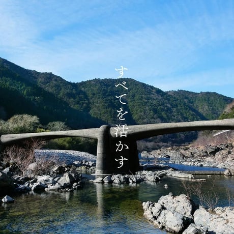 土佐龍　箸箱　箸エコ　桜　大 265×28×22mm