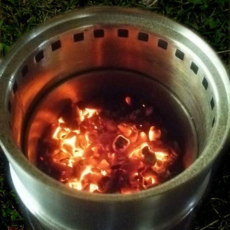 木炭 粒炭 小粒 箱60サイズ (約800g)　土壌改良　水質浄化　PH安定