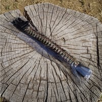 DD Hammocks Paracord Bracelet MC パラコードブレスレット  マルチカモ  DDハンモックス社