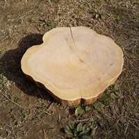 薪割り台 切り株 ひのき 丸太 約30x26cm 厚さ約5cm