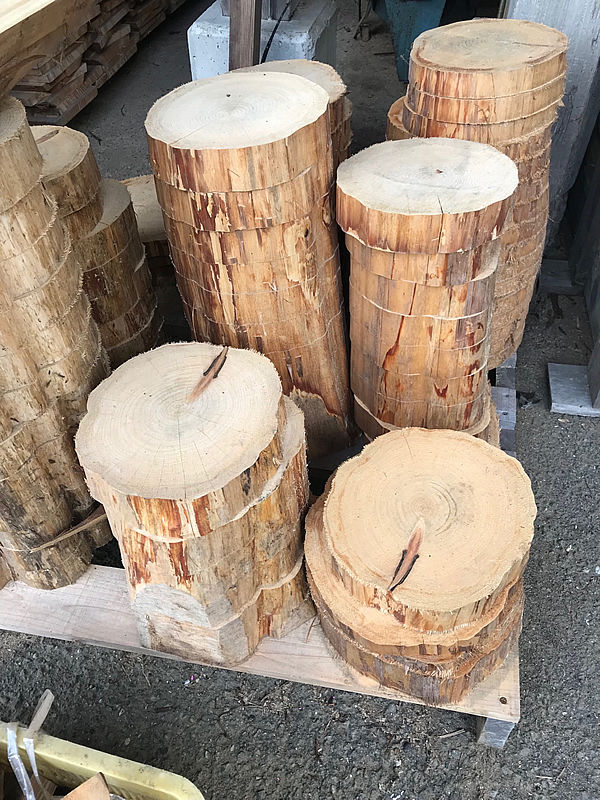 檜　切り株　輪切り　厚み約8.5㎝ 皮無し桧丸太の輪切り 直径25〜30cm前後 厚み5cm | ”山地直送