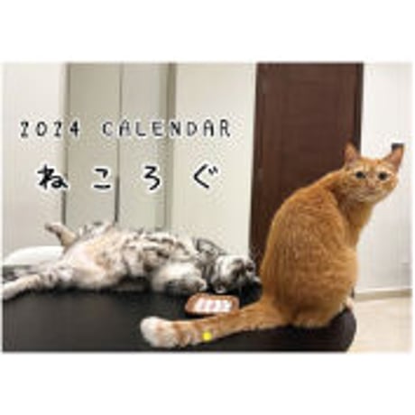 【予約販売】 アメリカンショートヘア 猫 ねころぐ 2024年 壁掛け カレンダー KK24287