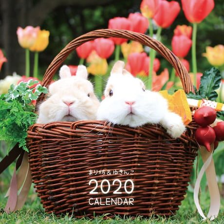 【送料無料】2020年『まり坊＆ゆきんこ』壁掛けカレンダー
