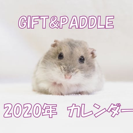 【送料無料】2020年『gift&paddle』壁掛けカレンダー