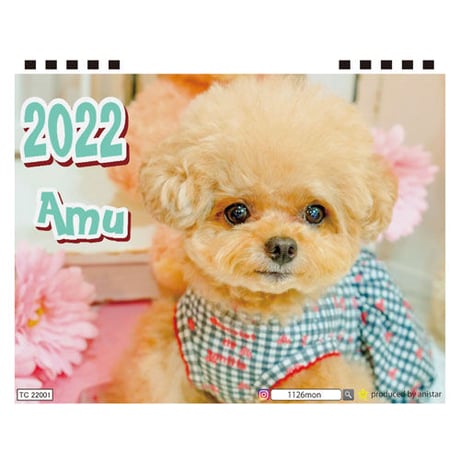 【予約販売】 トイプードル amu 2022年 卓上 カレンダー TC22108