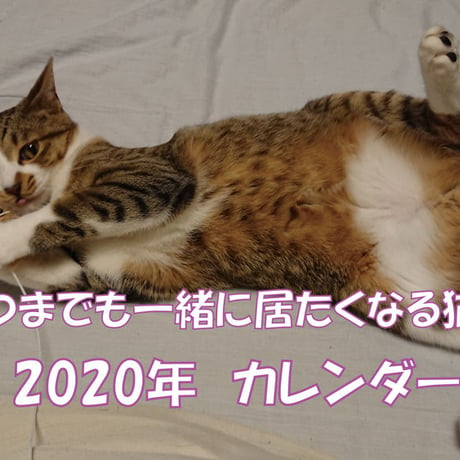 【送料無料】2020年『面白くてかわいい子猫チャンネル』壁掛けカレンダー