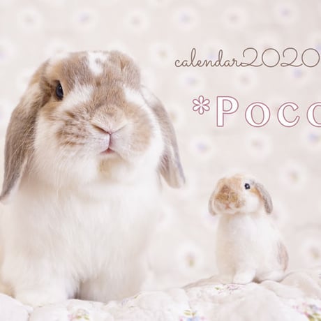 【送料無料】2020年『うさぎのポコたん』壁掛けカレンダー