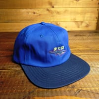 COLD WORLD FROZEN GOODS / SEE YA LATER 2 TONE HAT(BLUE)