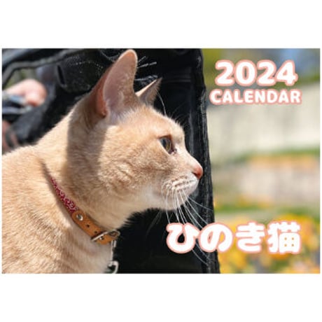 【予約販売】 ひのき猫 2024年 壁掛け カレンダー KK24139