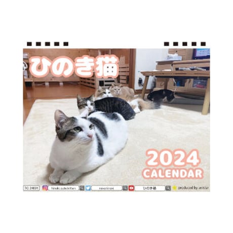【予約販売】 ひのき猫 2024年 卓上 カレンダー TC24140
