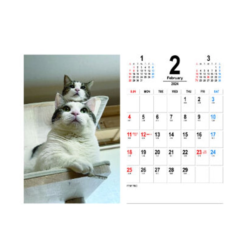 予約販売】 ひのき猫 2024年 卓上 カレンダー TC24140 | ひのき猫