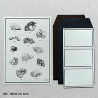 博物画手紙【鉱物I】+下敷き