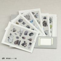 博物画シート集（ケース入）