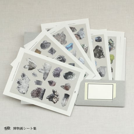 博物画シート集（ケース入）