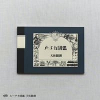 ルーチカ図鑑【天体観測】
